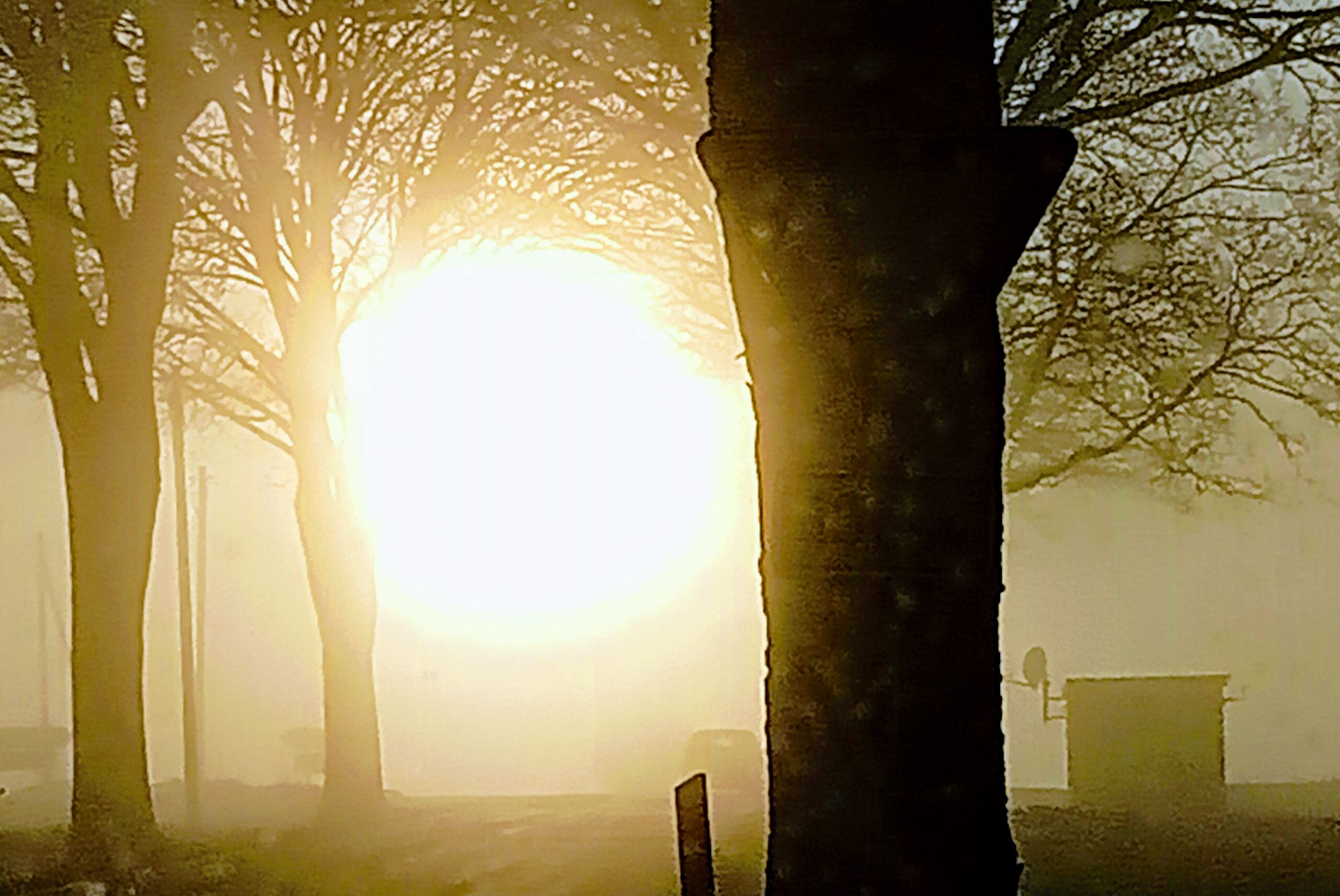 Mysterious Thick Fog Envelops Germany: Fears of Intentional Atmospheric Manipulation